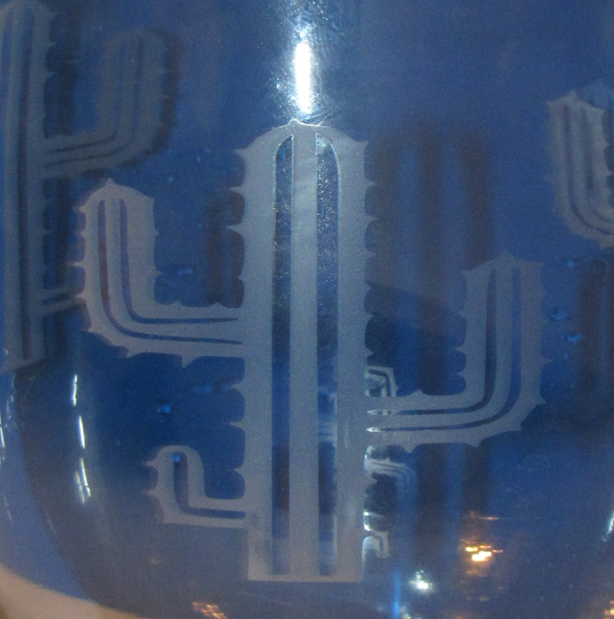 Set of 4 Cactus Etched Glasses